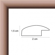   Face avant: Plexiglas 1mm Hauteur en cm: 12 Largeur en cm: 10 Dos du cadre: Dos Medium 3 mm Accroche du cadre: Vertical